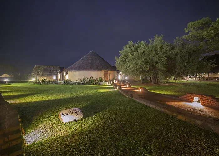 Aliya Resort And Spa - Thema Collection