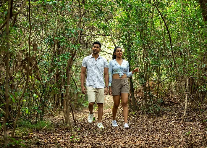Sigiriya Forest Edge By Marino Leisure