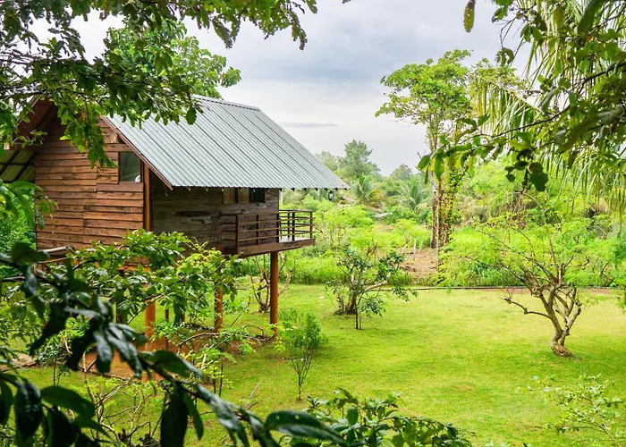Chena Huts Eco Resort