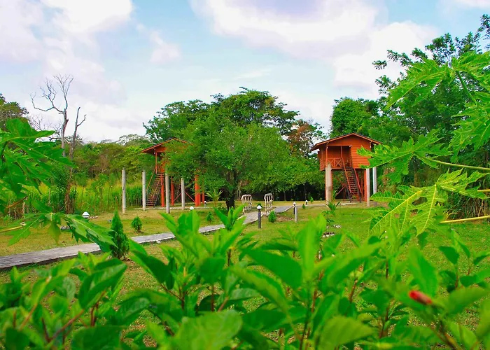 Sigiri Royal Point Tree House